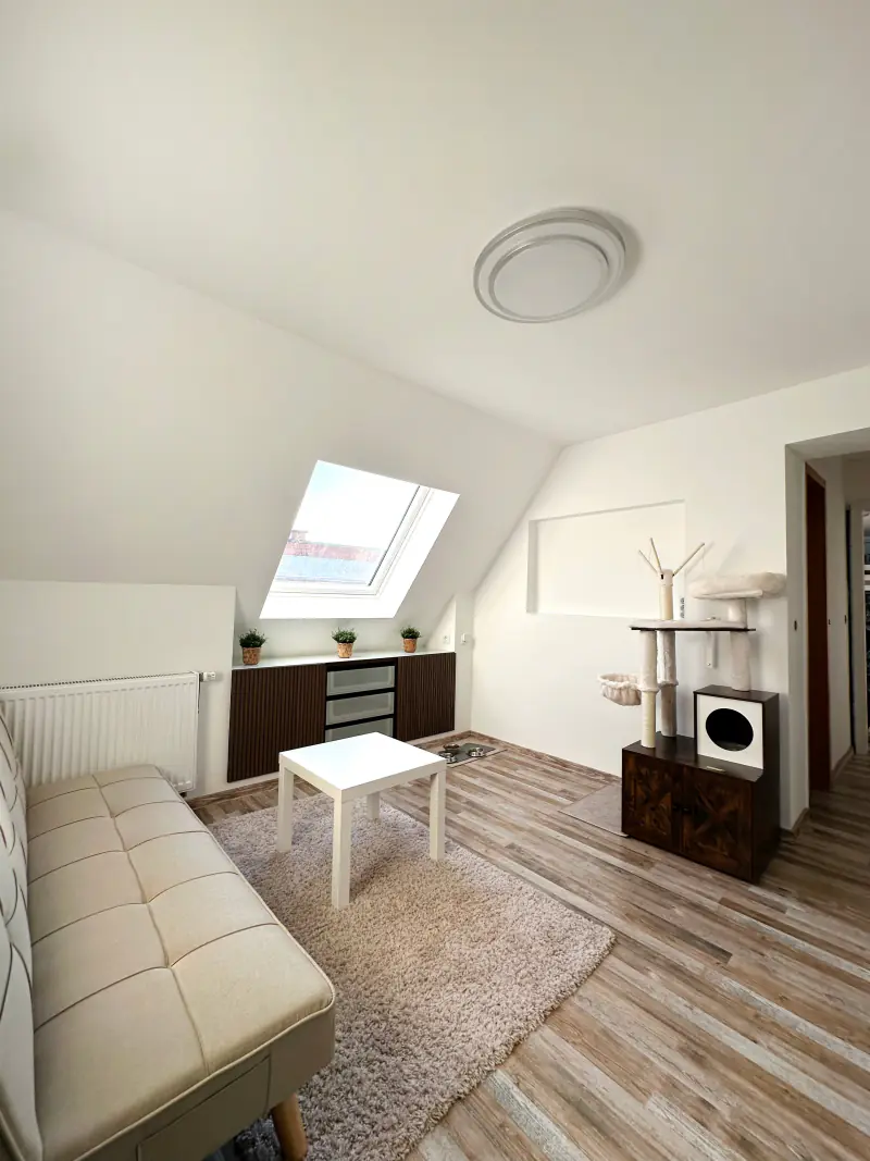 Ausgebautes Dachgeschoss mit Dachfenster, weißen Wänden und Holzboden